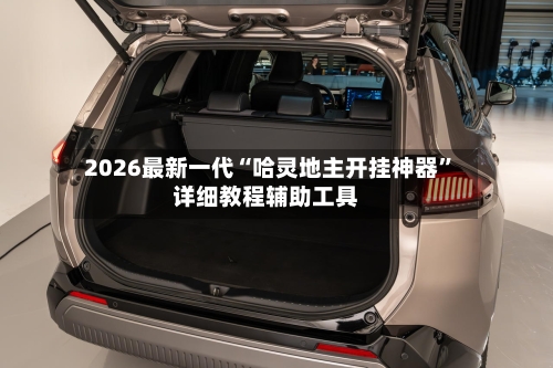 2026最新一代“哈灵地主开挂神器”详细教程辅助工具-第1张图片
