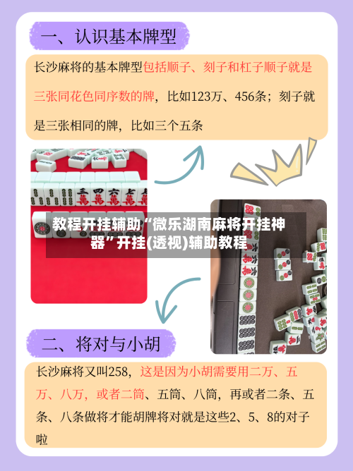 教程开挂辅助“微乐湖南麻将开挂神器	”开挂(透视)辅助教程-第2张图片