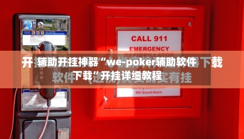 辅助开挂神器“we-poker辅助软件下载	”开挂详细教程-第2张图片