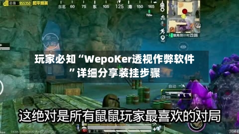 玩家必知“WepoKer透视作弊软件	”详细分享装挂步骤-第2张图片