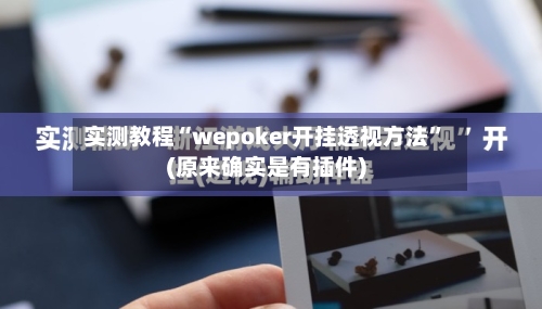 实测教程“wepoker开挂透视方法	”(原来确实是有插件)-第2张图片