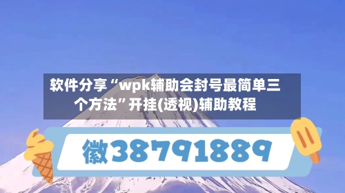 软件分享“wpk辅助会封号最简单三个方法”开挂(透视)辅助教程-第1张图片