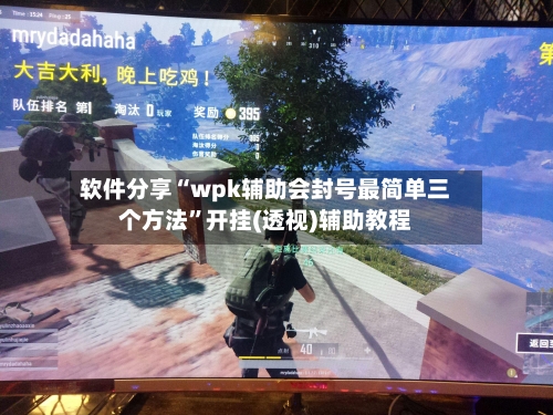 软件分享“wpk辅助会封号最简单三个方法	”开挂(透视)辅助教程-第2张图片