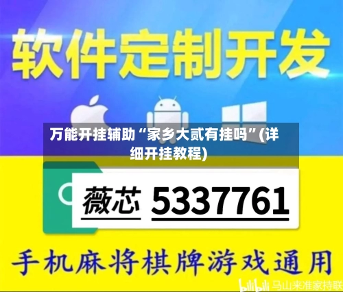 万能开挂辅助“家乡大贰有挂吗	”(详细开挂教程)-第2张图片