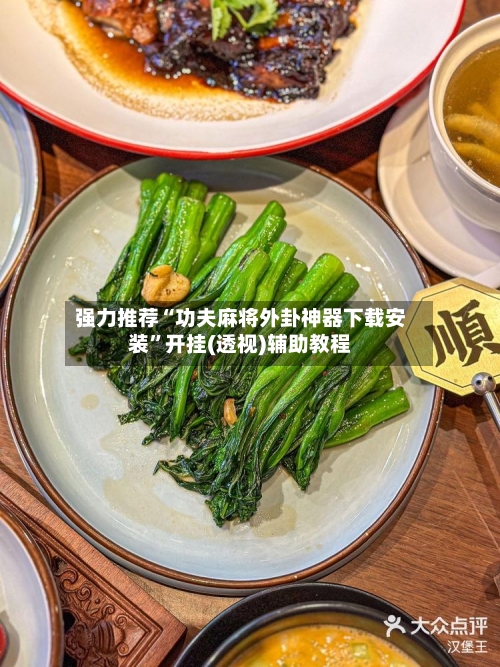 强力推荐“功夫麻将外卦神器下载安装”开挂(透视)辅助教程-第3张图片