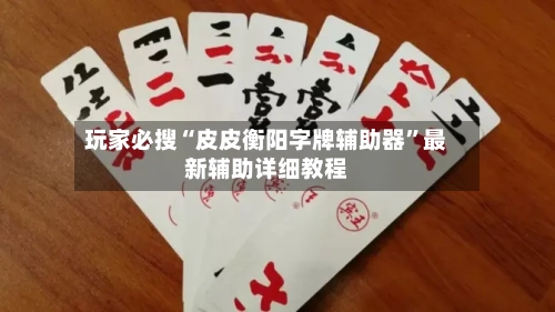 玩家必搜“皮皮衡阳字牌辅助器”最新辅助详细教程-第1张图片