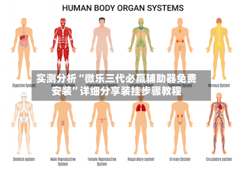 实测分析“微乐三代必赢辅助器免费安装	”详细分享装挂步骤教程-第3张图片