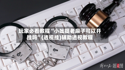 玩家必看教程“小吆捉老麻子可以开挂吗”(透视挂)辅助透视教程-第1张图片