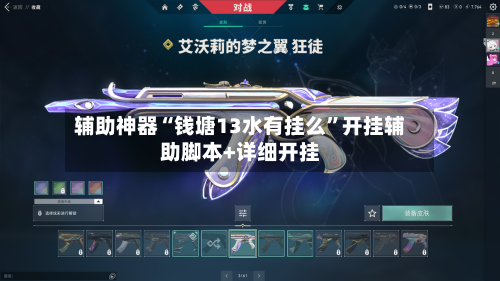 辅助神器“钱塘13水有挂么”开挂辅助脚本+详细开挂-第3张图片