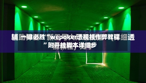 一键必胜“wepoker透视挂作弊教程	”附开挂脚本详细步-第2张图片