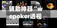 辅助神器“wepoker透视挂辅助器”(透视)详细透视辅助教程-第1张图片