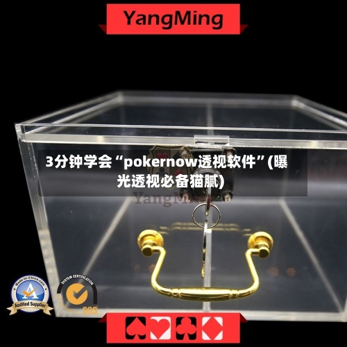 3分钟学会“pokernow透视软件”(曝光透视必备猫腻)-第1张图片