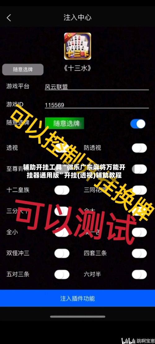 辅助开挂工具“微乐广东麻将万能开挂器通用版	”开挂(透视)辅助教程-第2张图片