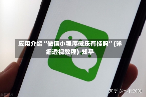 应用介绍“微信小程序微乐有挂吗”(详细透视教程)-知乎-第2张图片