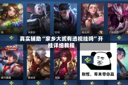 真实辅助“家乡大贰有透视挂吗”开挂详细教程-第1张图片