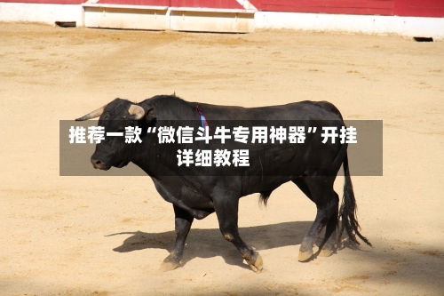 推荐一款“微信斗牛专用神器”开挂详细教程-第1张图片