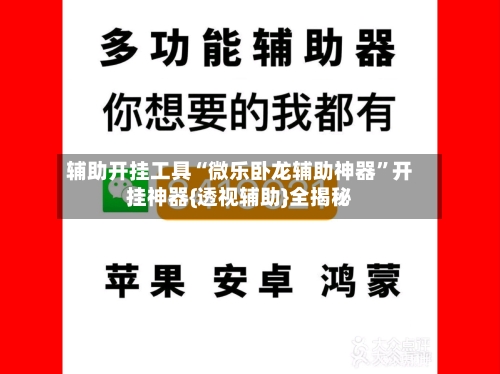 辅助开挂工具“微乐卧龙辅助神器”开挂神器{透视辅助}全揭秘-第3张图片
