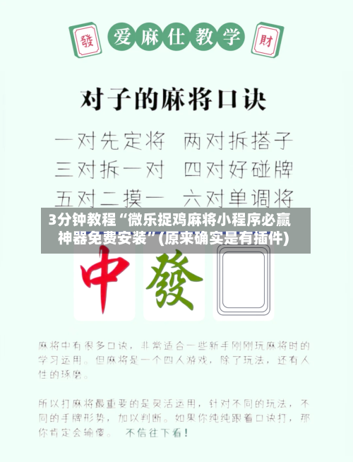 3分钟教程“微乐捉鸡麻将小程序必赢神器免费安装	”(原来确实是有插件)-第2张图片