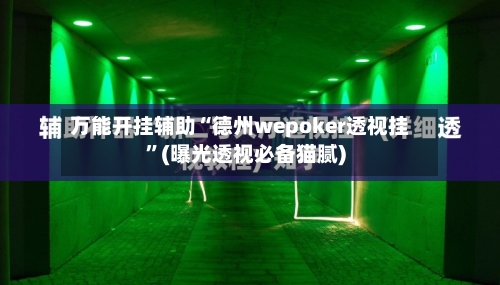 万能开挂辅助“德州wepoker透视挂”(曝光透视必备猫腻)-第1张图片