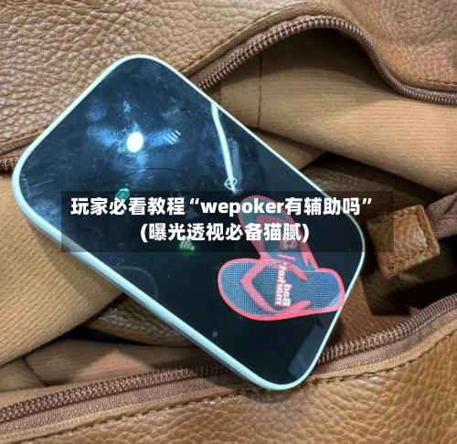 玩家必看教程“wepoker有辅助吗”(曝光透视必备猫腻)-第2张图片