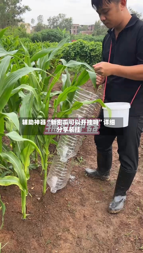 辅助神器“新密瓜可以开挂吗”详细分享装挂-第1张图片
