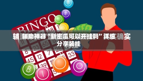 辅助神器“新密瓜可以开挂吗”详细分享装挂-第3张图片