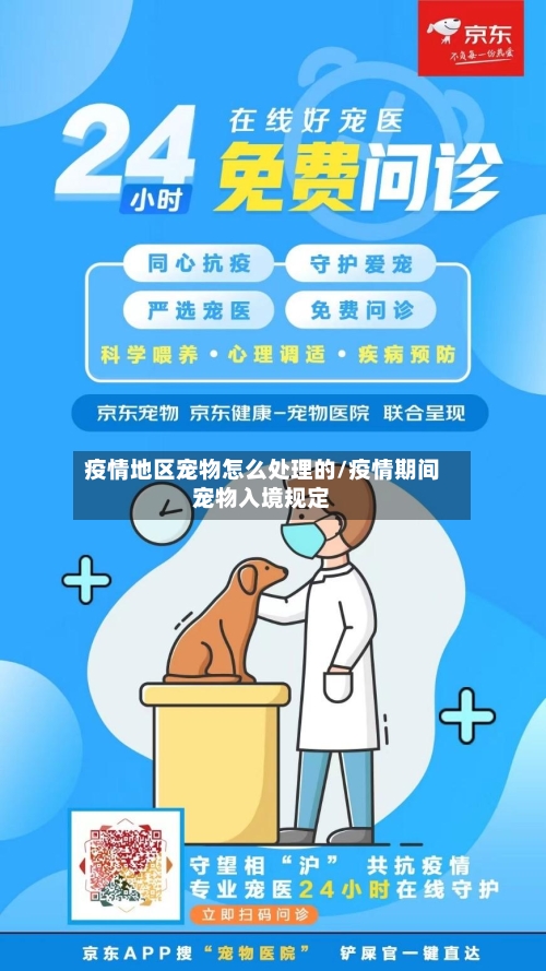 疫情地区宠物怎么处理的/疫情期间宠物入境规定-第1张图片