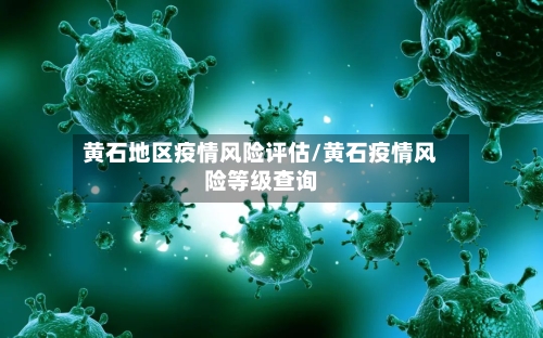 黄石地区疫情风险评估/黄石疫情风险等级查询-第2张图片