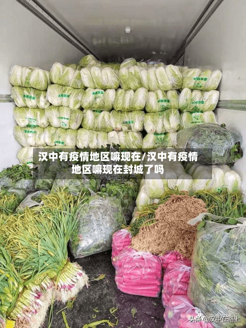 汉中有疫情地区嘛现在/汉中有疫情地区嘛现在封城了吗-第2张图片