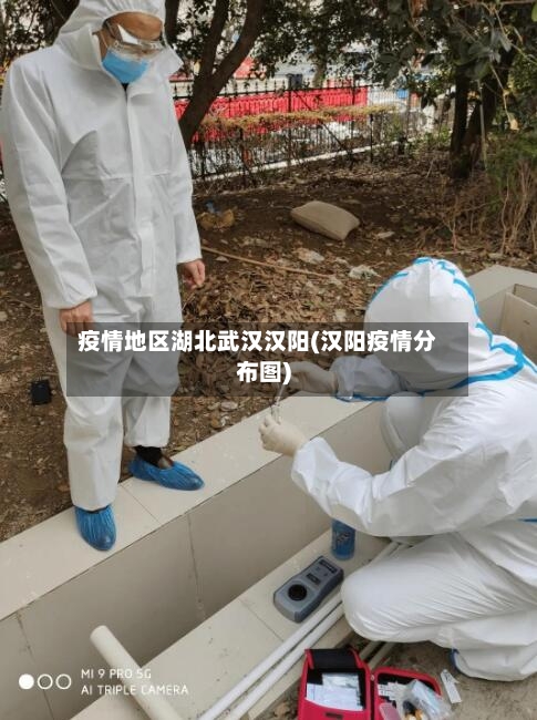 疫情地区湖北武汉汉阳(汉阳疫情分布图)-第1张图片