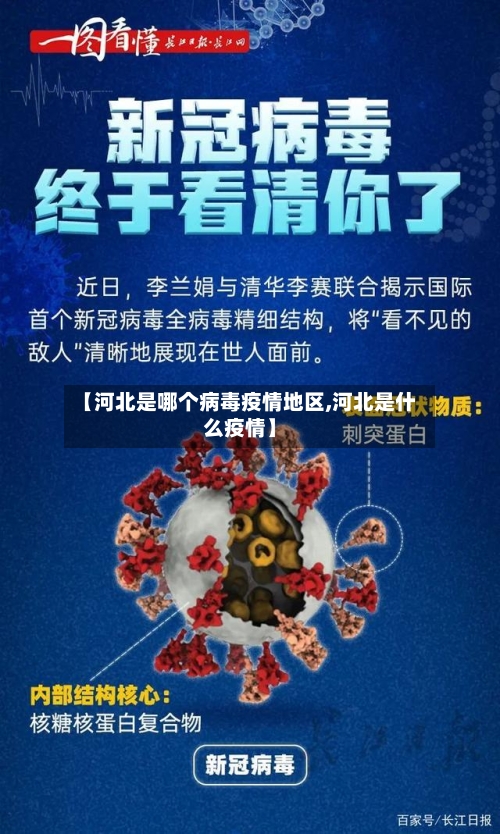 【河北是哪个病毒疫情地区,河北是什么疫情】-第1张图片