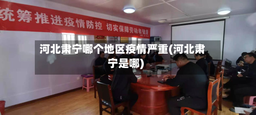 河北肃宁哪个地区疫情严重(河北肃宁是哪)-第1张图片