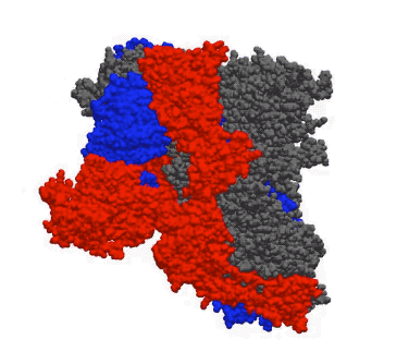 疫情地区动态图最新(疫情地图动态图)-第1张图片
