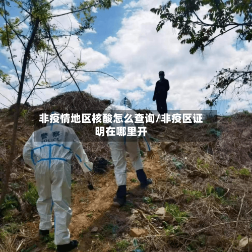 非疫情地区核酸怎么查询/非疫区证明在哪里开-第2张图片