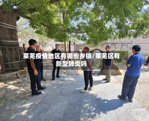 莱芜疫情地区有哪些乡镇/莱芜区有新型肺炎吗-第3张图片