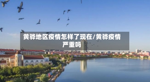 黄骅地区疫情怎样了现在/黄骅疫情严重吗-第1张图片