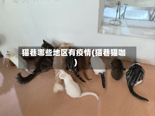 猫巷哪些地区有疫情(猫巷猫咖)-第1张图片