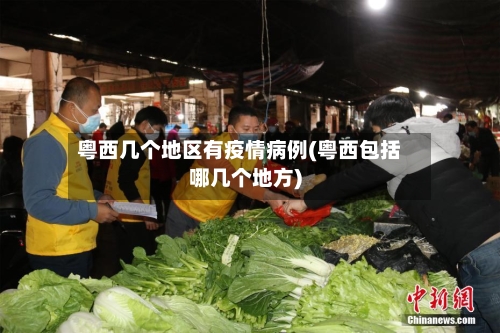 粤西几个地区有疫情病例(粤西包括哪几个地方)-第1张图片