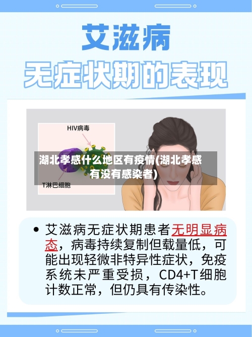 湖北孝感什么地区有疫情(湖北孝感有没有感染者)-第3张图片