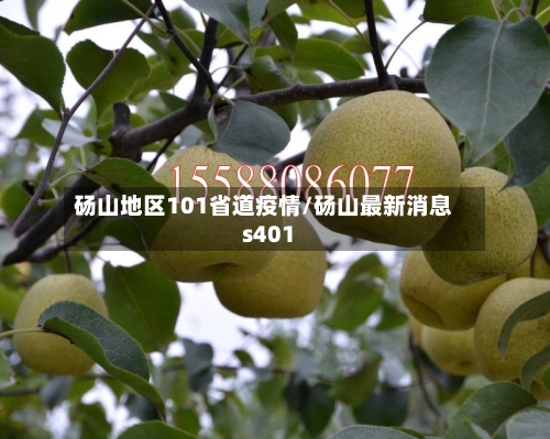 砀山地区101省道疫情/砀山最新消息s401-第1张图片