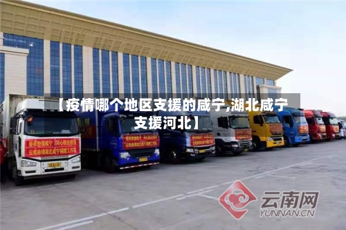 【疫情哪个地区支援的咸宁,湖北咸宁支援河北】-第3张图片