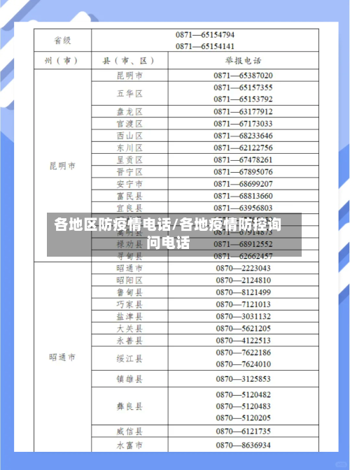 各地区防疫情电话/各地疫情防控询问电话-第3张图片
