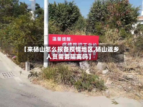 【来砀山怎么报备疫情地区,砀山返乡人员需要隔离吗】-第3张图片