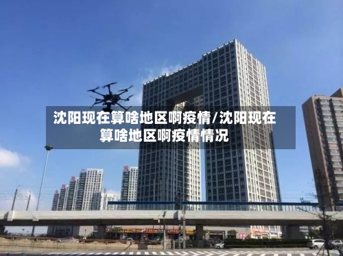 沈阳现在算啥地区啊疫情/沈阳现在算啥地区啊疫情情况-第3张图片