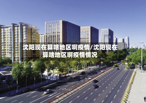 沈阳现在算啥地区啊疫情/沈阳现在算啥地区啊疫情情况-第2张图片
