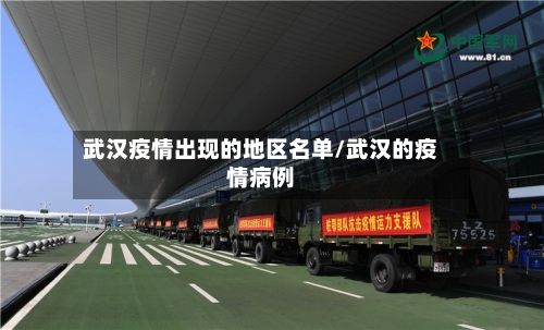 武汉疫情出现的地区名单/武汉的疫情病例-第2张图片