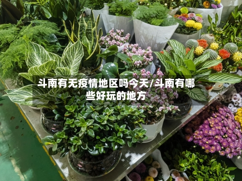 斗南有无疫情地区吗今天/斗南有哪些好玩的地方-第3张图片