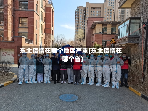 东北疫情在哪个地区严重(东北疫情在哪个省)-第2张图片