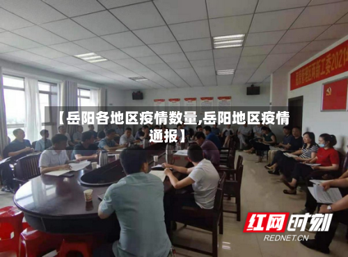 【岳阳各地区疫情数量,岳阳地区疫情通报】-第2张图片