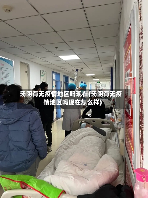 汤阴有无疫情地区吗现在(汤阴有无疫情地区吗现在怎么样)-第1张图片